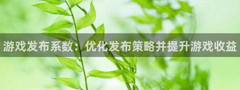 顺盈娱乐登录平台是什么意思啊：游戏发布系数：优化发布策略并提升游戏收益