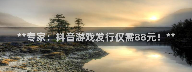 顺盈实业：**专家：抖音游戏发行仅需88元！**