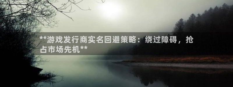 顺盈娱乐官网首页登录入口：**游戏发行商实名回避策略：绕过障碍，抢
占市场先机**
