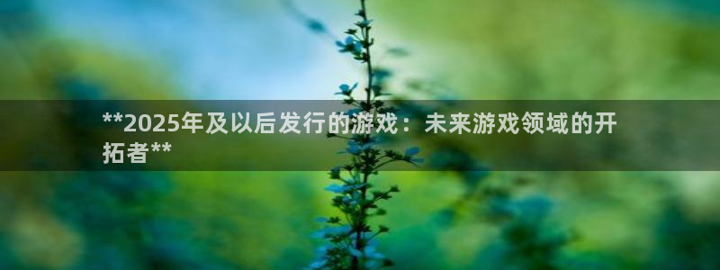 顺盈娱乐登录平台是什么意思呀