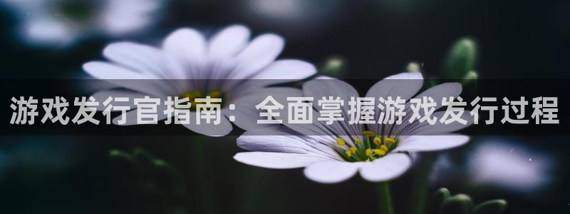 顺盈娱乐登录平台是什么平台呀：游戏发行官指南：全面掌握游戏发行过程