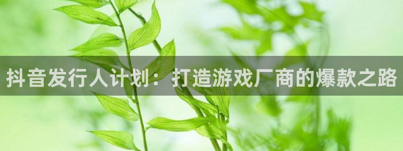 顺盈娱乐平台提现被关闭怎么回事儿：抖音发行人计划：打造游戏厂商的爆款之路
