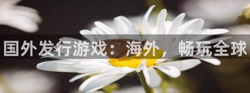 顺盈娱乐登录平台是什么平台啊：国外发行游戏：海外，畅玩全球