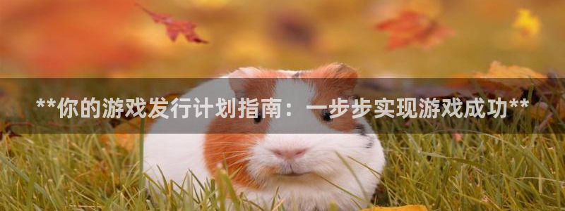 顺盈平台注册：**你的游戏发行计划指南：一步步实现游戏成功**