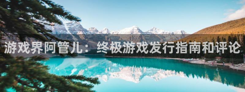 顺盈网络科技有限公司电话：游戏界阿管儿：终极游戏发行指南和评论