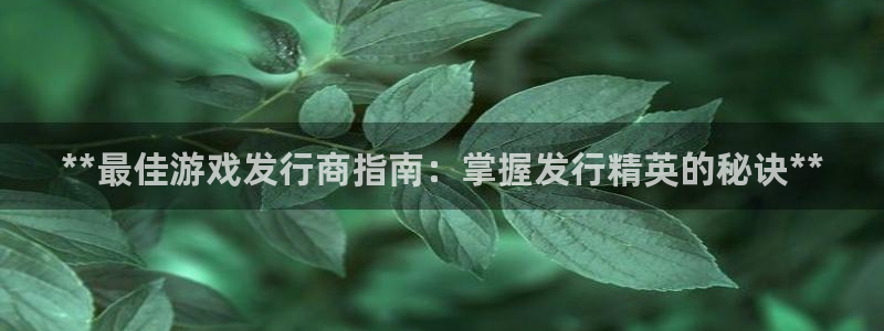 顺盈娱乐母7O777：**最佳游戏发行商指南：掌握发行精英的秘诀**