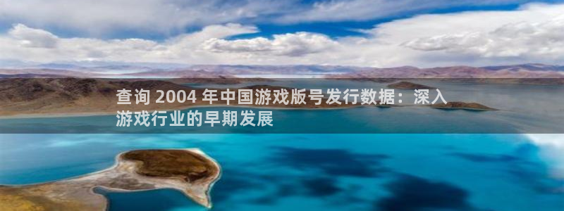 顺盈娱乐官网首页登录入口：查询 2004 年中国游戏版号发行数据：深入
游戏行业的早期发展