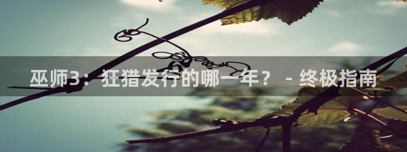 顺盈电子：巫师3：狂猎发行的哪一年？ - 终极指南