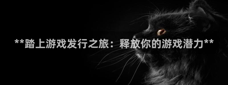 顺盈平台注册网址是多少：**踏上游戏发行之旅：释放你的游戏潜力**