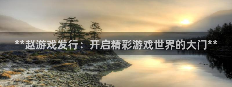 顺盈娱乐官网首页网址：**赵游戏发行：开启精彩游戏世界的大门**
