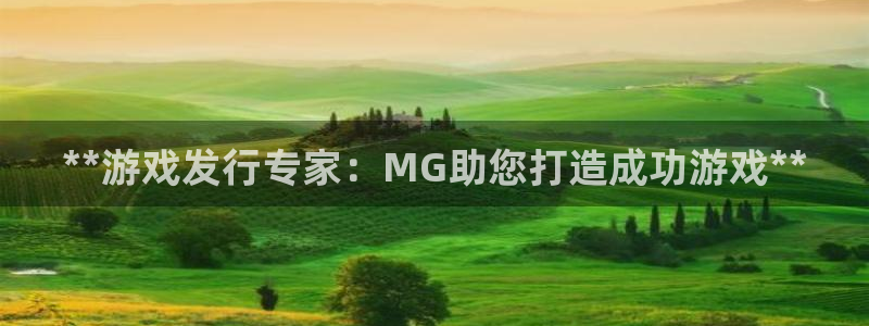 顺盈娱乐官网首页网址：**游戏发行专家：MG助您打造成功游戏**