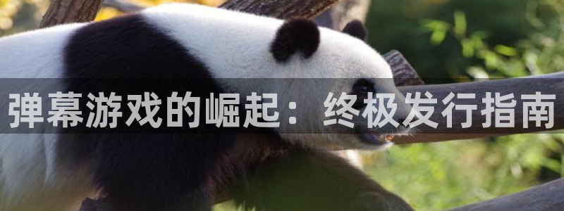 顺盈平台在线注册：弹幕游戏的崛起：终极发行指南