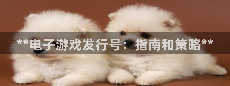 顺盈娱乐登录平台是什么平台啊：**电子游戏发行号：指南和策略**