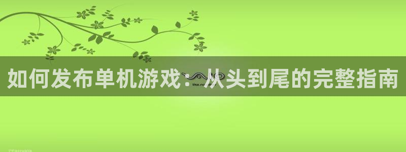 顺盈娱乐平台提现被关闭怎么回事：如何发布单机游戏：从头到尾的完整指南