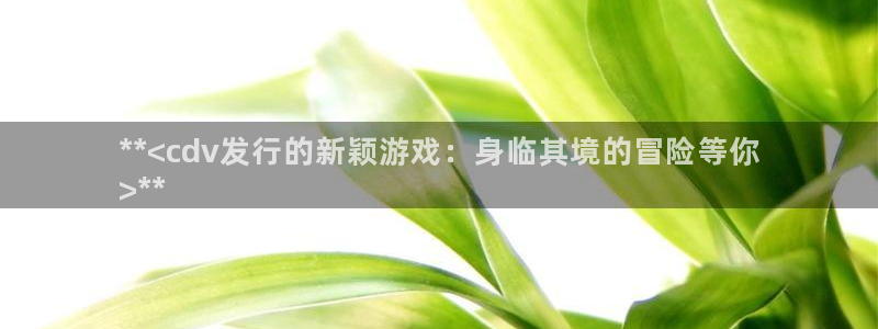 顺赢国际游戏：**<cdv发行的新颖游戏：身临其境的冒险等你
>**