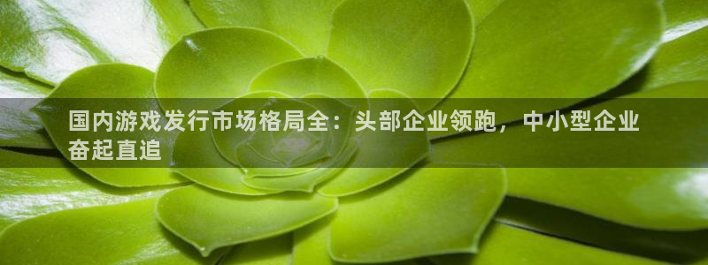 顺盈娱乐的员工待遇怎么样知乎