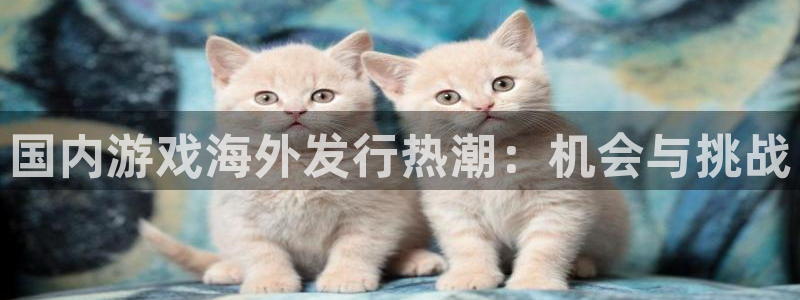 顺盈娱乐：国内游戏海外发行热潮：机会与挑战