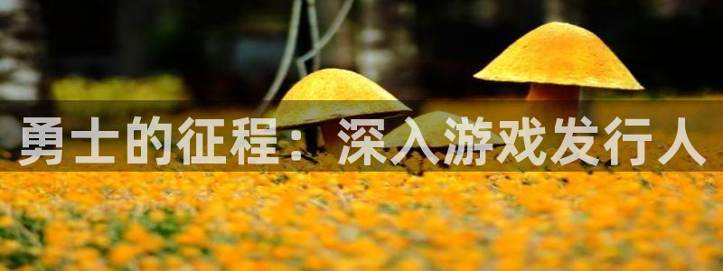 顺盈娱乐官网首页入口网站：勇士的征程：深入游戏发行人