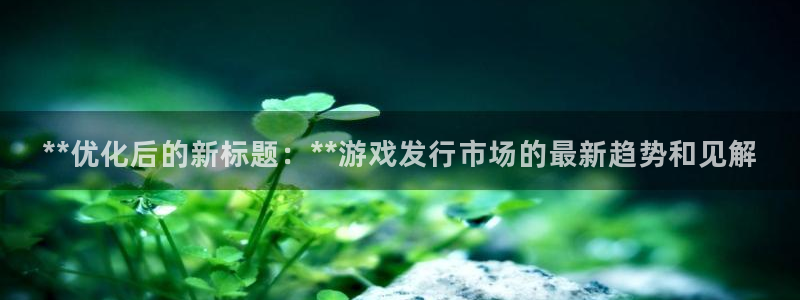 顺盈娱乐公司介绍怎么写：**优化后的新标题：**游戏发行市场的最新趋势和见解