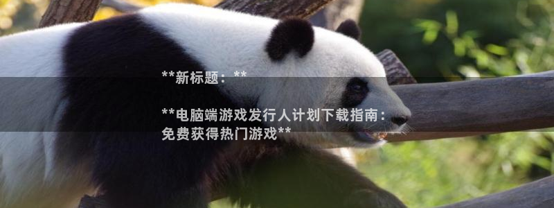 顺盈注册：**新标题：**

**电脑端游戏发行人计划下载指南：
免费获得热门游戏**