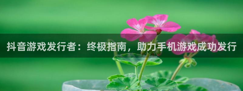顺盈娱乐律7O777：抖音游戏发行者：终极指南，助力手机游戏成功发行