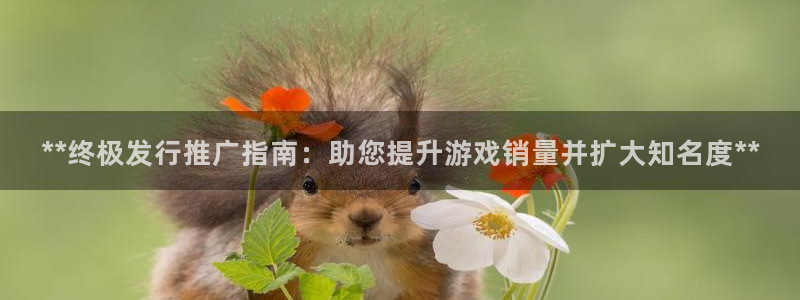 顺盈娱乐平台注册流程视频播放：**终极发行推广指南：助您提升游戏销量并扩大知名度**