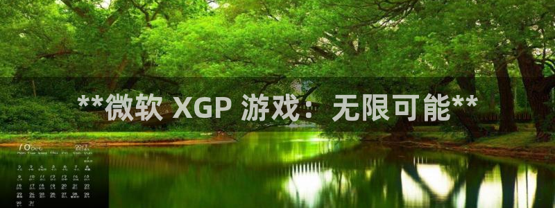 顺盈平台主管：**微软 XGP 游戏：无限可能**