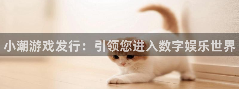 顺盈电子：小潮游戏发行：引领您进入数字娱乐世界