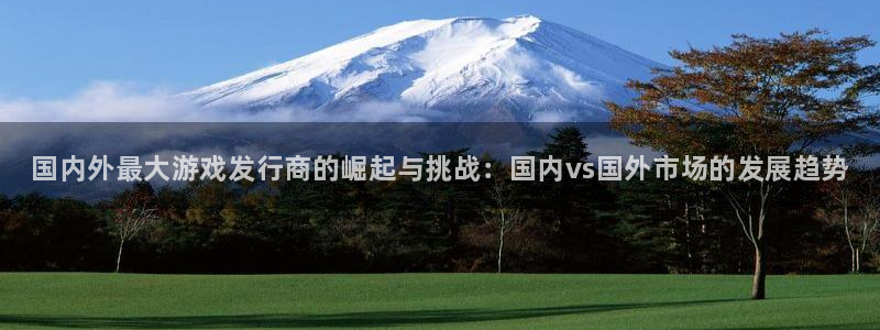 顺盈平台注册开户流程：国内外最大游戏发行商的崛起与挑战：国内vs国外市场的发展趋势